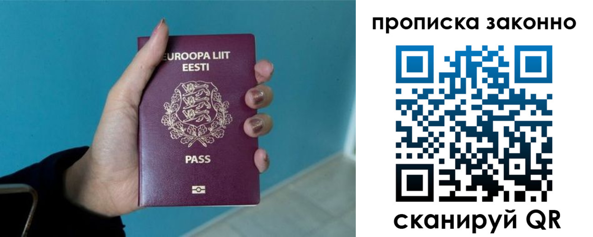 прописка гарантия в Чернушке